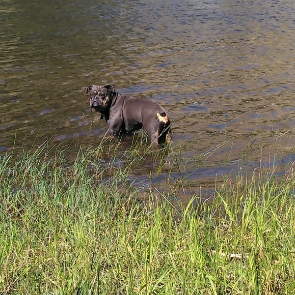 Meet your Posher, Laura - Picture 11 of 13